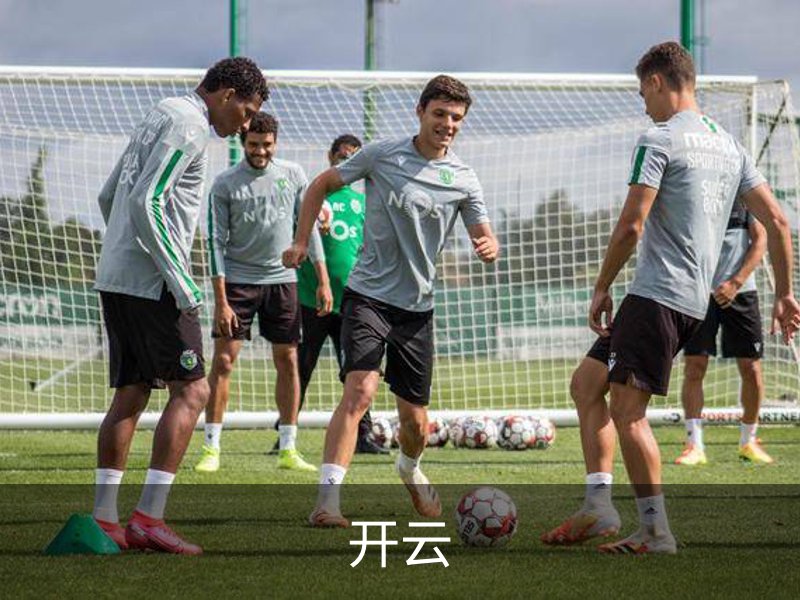开云·体育 (kaiyun)官方网站_KAIYUN SPORT